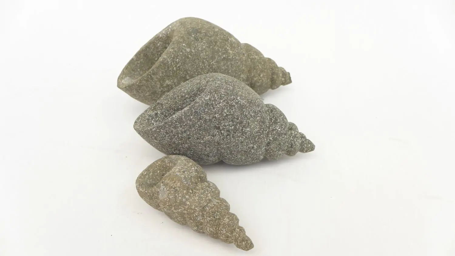  Product image 1 of the product “Snail shell, turned, in the size from 10 to 20cm, basanite, natural ”